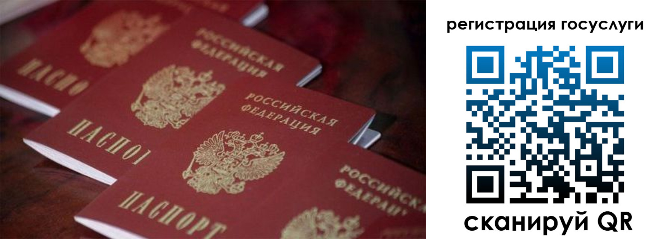 где прописаться в Рязани
